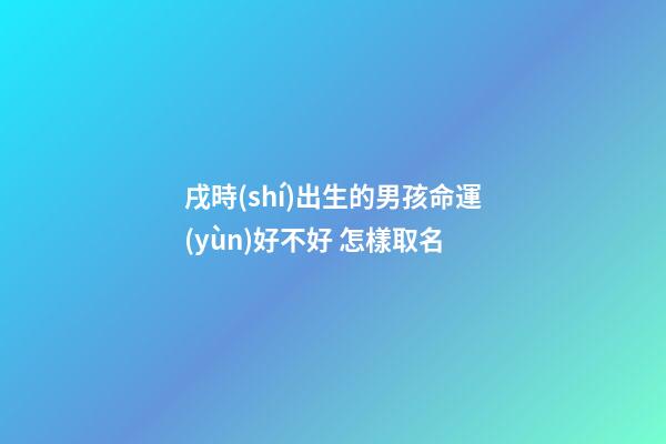戌時(shí)出生的男孩命運(yùn)好不好 怎樣取名